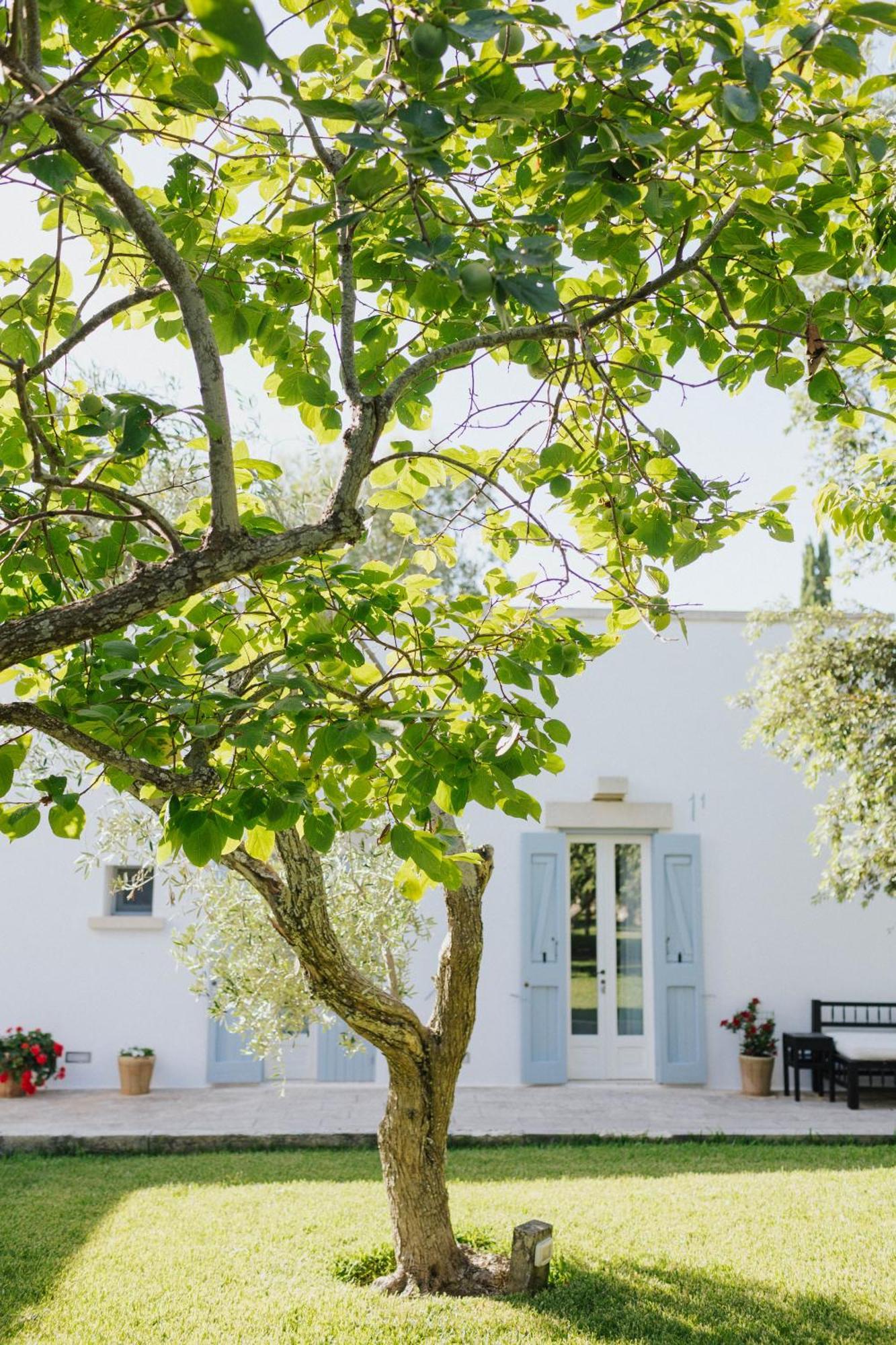 Masseria Montelauro Otranto Luaran gambar