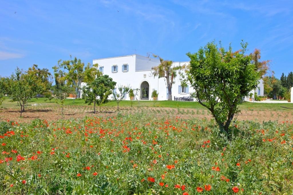 Masseria Montelauro Otranto Luaran gambar