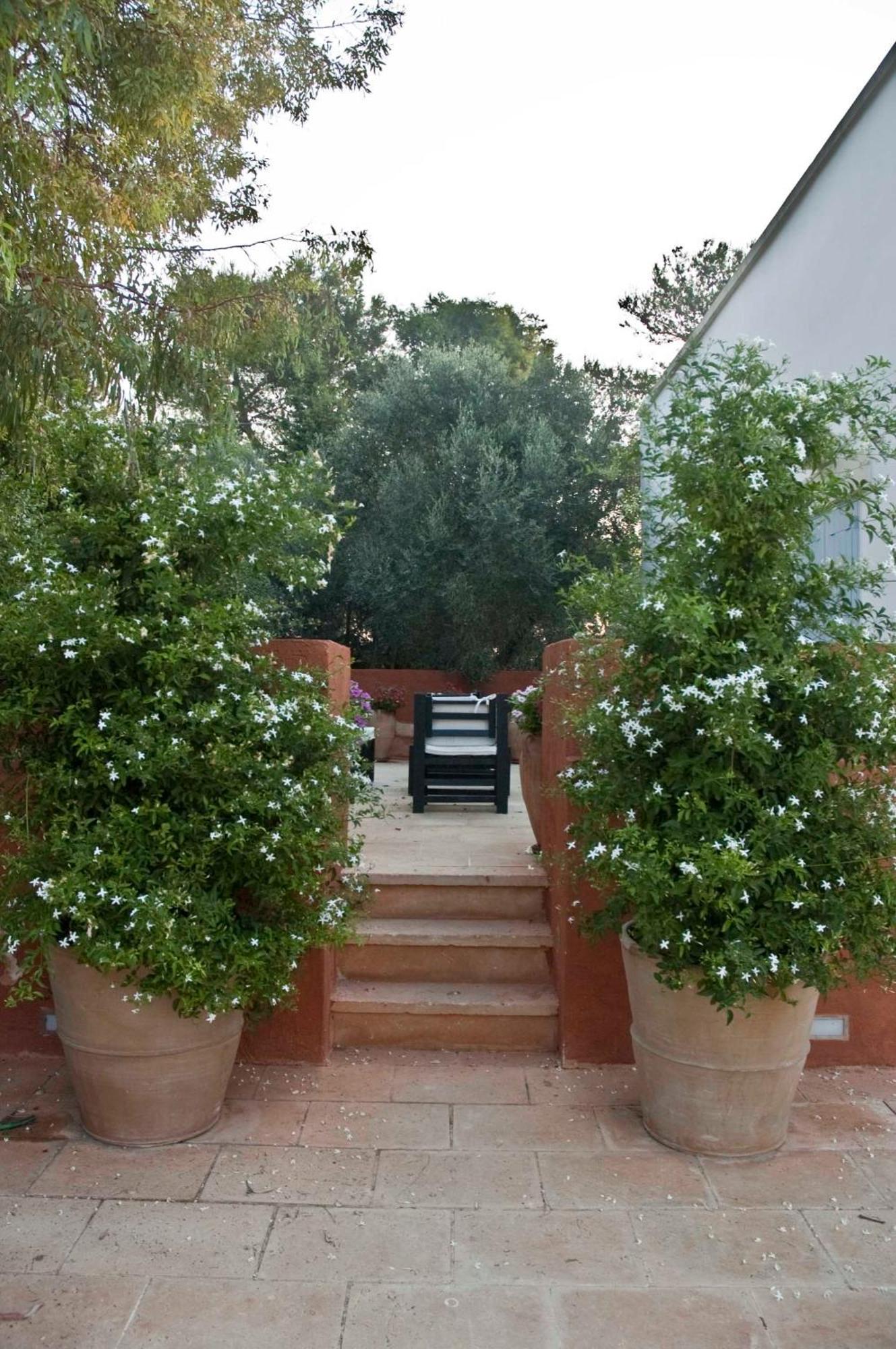 Masseria Montelauro Otranto Luaran gambar